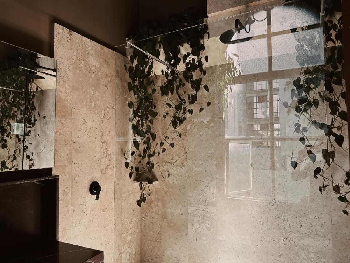 מקסיקו סיטי Maison Celeste מראה חיצוני תמונה